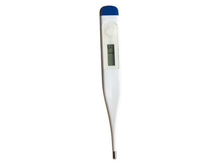 TravelSafe digitales Thermometer