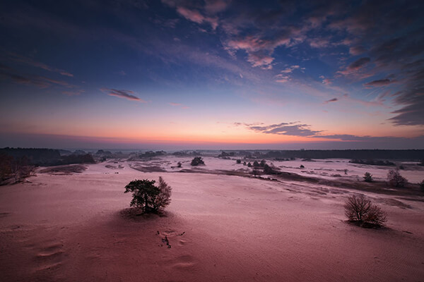 De Hoge Veluwe